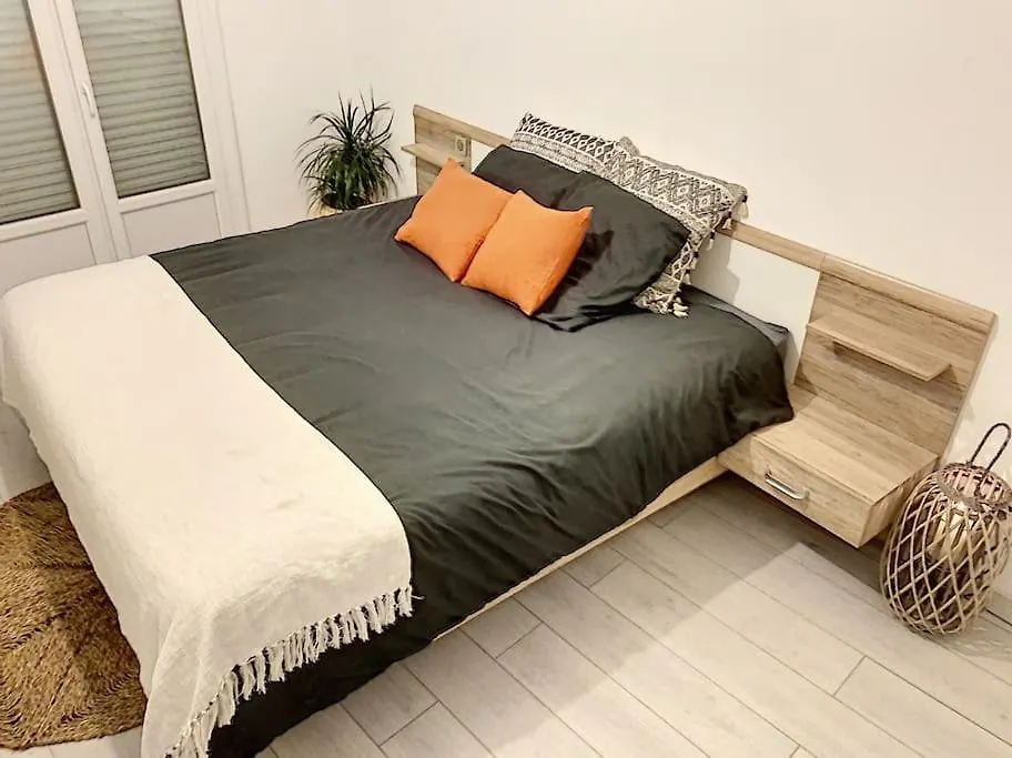 Appartement Type Industriel Centre Ville 瓦讷 法国